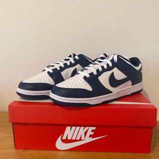 ナイキ(NIKE)のNIKE DUNK LOW RETRO VARERIAN BLUE(スニーカー)