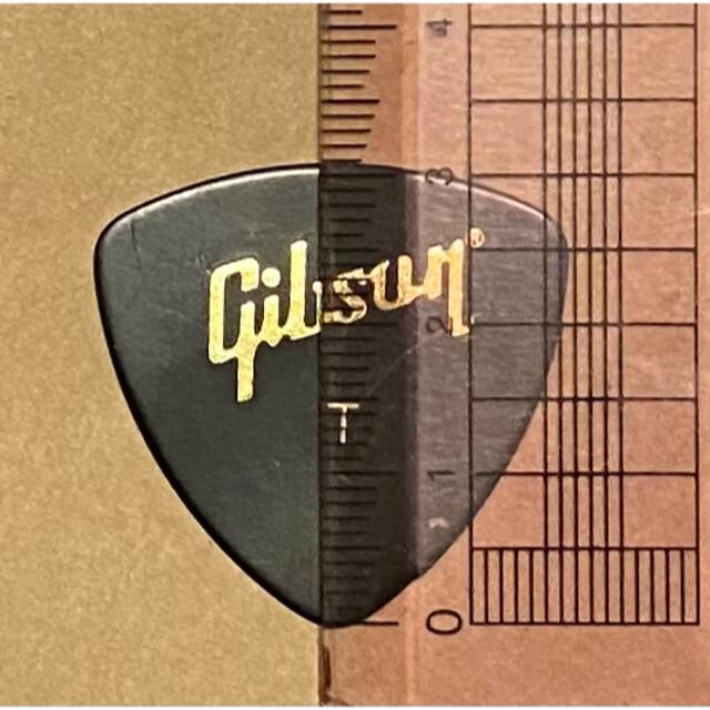 Gibson(ギブソン)のGibson ギブソン　ギターピック　トライアングル（オニギリ）THIN 10枚 楽器のギター(その他)の商品写真