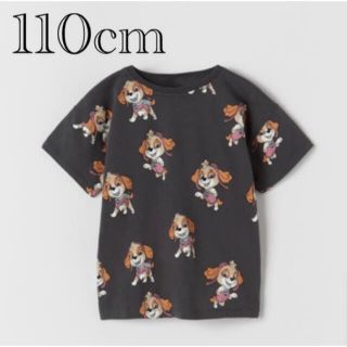 ザラキッズ(ZARA KIDS)の新品　パウパトロール　スカイ　Tシャツ 4〜5歳　110cm(Tシャツ/カットソー)