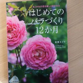 はじめてのバラづくり１２か月 あこがれの花を美しく咲かせる(趣味/スポーツ/実用)