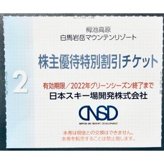 日本スキー場開発 株主優待券 特別割引チケット 1枚(その他)