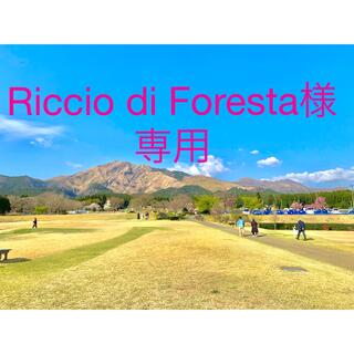 Riccio di Foresta様 専用(カラージェル)