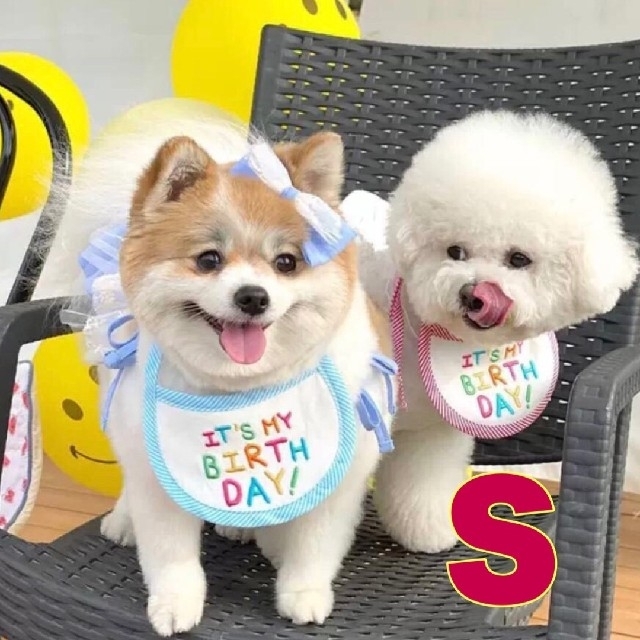 ペット 誕生日 バースデー 首掛け うさぎ エプロン お祝い 犬 猫 スタイ