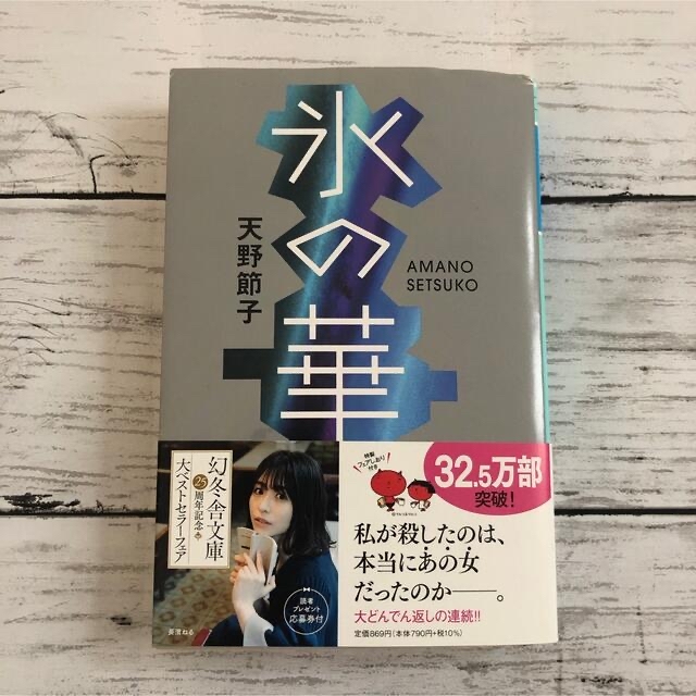 氷の華　天野節子 エンタメ/ホビーの本(その他)の商品写真