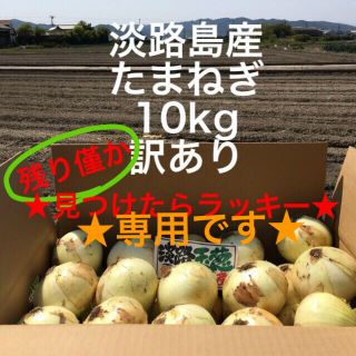 ★bb様専用★ 見つけたらラッキー　淡路島産　玉ねぎ　10kg 訳あり(野菜)