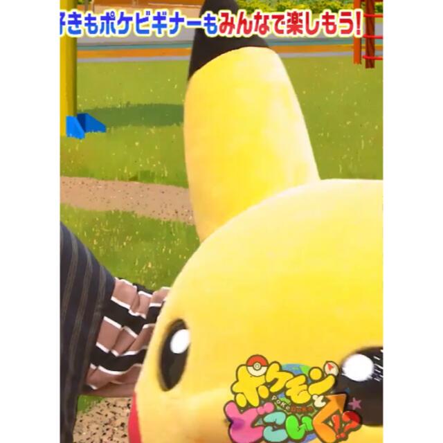 ポケモン　ピカチュ　ぬいぐるみ