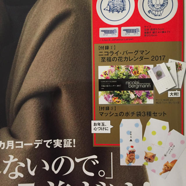 GLOW  付録 インテリア/住まい/日用品のキッチン/食器(食器)の商品写真