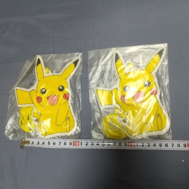ポケモン - 【新品未使用】JR東日本 ポケモンスタンプラリー 2007 パス
