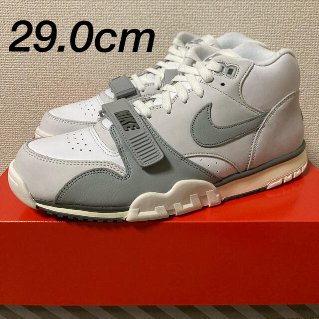 29.0cm NIKE AIR TRAINER 1  "Photon Dust"