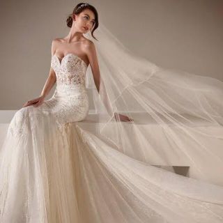 Vera Wang - PRONOVIAS プロノビアス ウェディングドレス ALISON