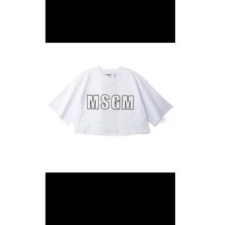 エムエスジイエム(MSGM)のMSGM ローラ着用 Tシャツ 美品(Tシャツ(半袖/袖なし))