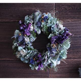 紫チューリップと紫陽花のふんわり水色リース✳︎ドライフラワー◎20センチ(リース)