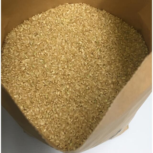 みさたん様専用 無農薬コシヒカリ玄米20kg(5kg×4)令和3年 徳島県 みさたん様専用 無農薬コシヒカリ玄米20kg(5kg×4)令和3年 徳島県