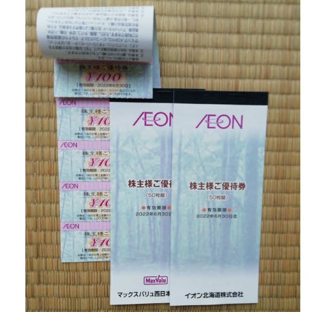 イオン北海道 株主ご優待券 10,000円分 (100円券100枚)