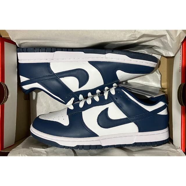 NIKE DUNK LOW RETRO 26.5CM VALERIAN BLUE