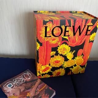 LOEWE - ロエベ×パウラズイビザ コラボパッケージ（箱＋冊子）の通販 ...