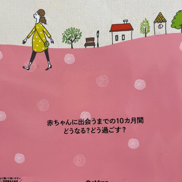 妊娠・出産ガイドＢＯＯＫ はじめてママとパパの本 エンタメ/ホビーの雑誌(結婚/出産/子育て)の商品写真