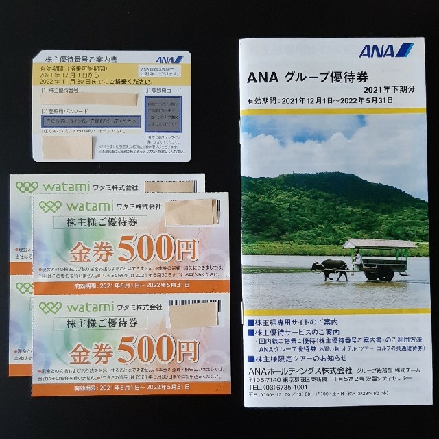 ANA(全日本空輸)(エーエヌエー(ゼンニッポンクウユ))のANA、ワタミ株主優待6枚 チケットの優待券/割引券(その他)の商品写真