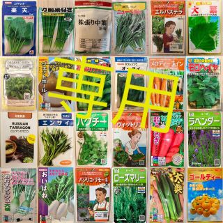 【RH’s様専用】野菜の種　7種(野菜)