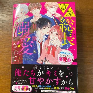 【イケメンたちからの溺愛祭！】最強総長に、甘く激しく溺愛されて。 ＲＥＤ　ＫＩＮ(文学/小説)