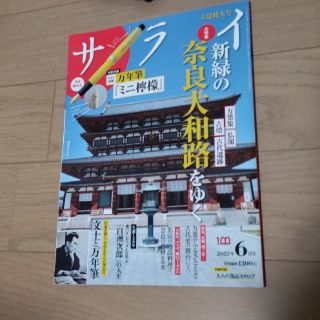 サライ 2022年 06月号(料理/グルメ)