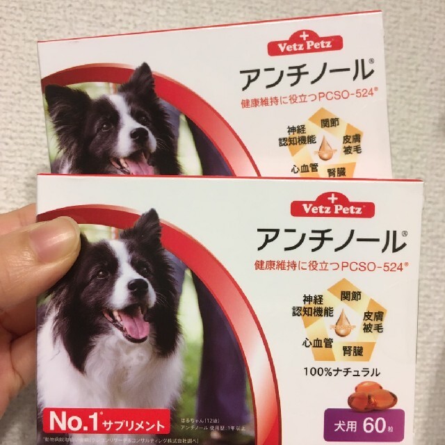 アンチノール犬用サプリメント60粒皮膚被毛関節腎臓健康維持