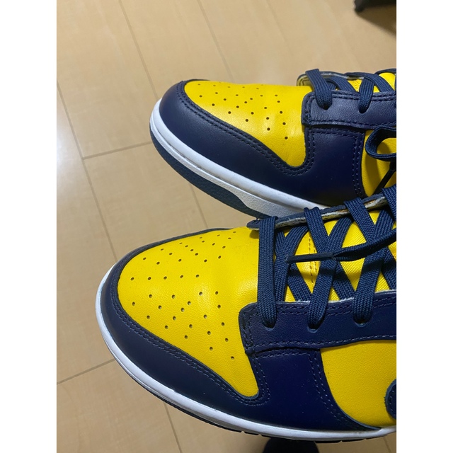 NIKE(ナイキ)のナイキ NIKE DUNK LOW MICHIGAN ダンク ミシガン メンズの靴/シューズ(スニーカー)の商品写真