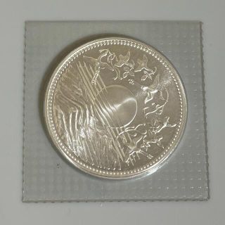 天皇陛下御在位六十周年記念1万円銀貨幣プルーフ(その他)