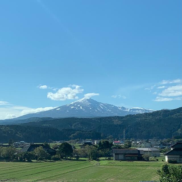 令和 ‪新米 ひとめぼれ  一等米級 秋田県産 産地直送   米/穀物‬