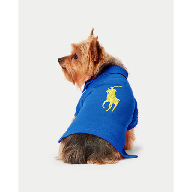 Polo Ralph Lauren 犬 洋服 ラルフローレン 犬用 ポロシャツ 新品タグ付 Mサイズの通販 By Minaharu S Shop ポロラルフローレンならラクマ Polo Ralph Lauren 犬 洋服 ラルフローレン 犬用 ポロシャツ 新品タグ付 Mサイズの通販 By Minaharu S Shop ポロラルフローレンならラクマ