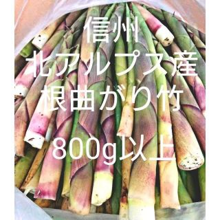 根曲がり竹　800g超　信州北アルプス産　ネマガリダケ　たけのこ　天然　山菜(野菜)