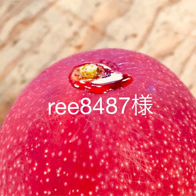 食品宮崎県産 完熟マンゴー 2kg