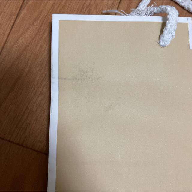 Michael Kors(マイケルコース)のMICHAEL MICHAEL KORS 紙袋 ショップ袋　ショッパー レディースのバッグ(ショップ袋)の商品写真