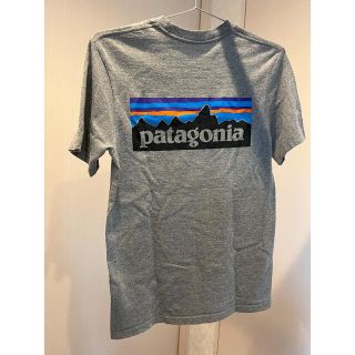 パタゴニア(patagonia)のpatagonia Tシャツ(Tシャツ/カットソー(半袖/袖なし))