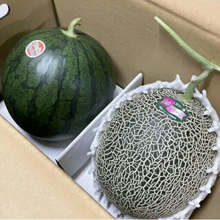 熊本県産小玉スイカと肥後グリーンのセット2キロ以上減農薬(フルーツ)