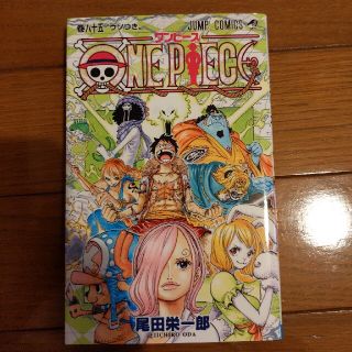 ＯＮＥ　ＰＩＥＣＥ 巻８５(その他)