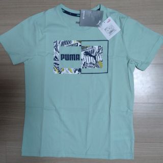 プーマ(PUMA)のプーマ　Tシャツ　150 　ミント(Tシャツ/カットソー)