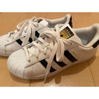 アディダス(adidas)のadidas superstar C71124(スニーカー)