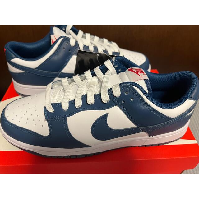 Nike Dunk Low Valerian Blue 28 バレリアンブルー