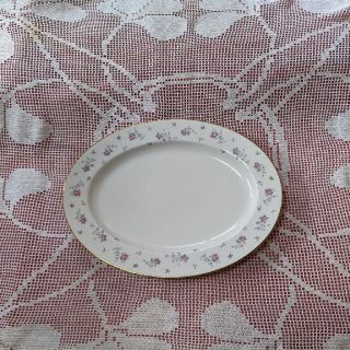 ノリタケ(Noritake)の🌼🍽ノリタケの全身🌼オールドジャパン🌼ニットーロイヤルの大皿(4枚あり(陶芸)