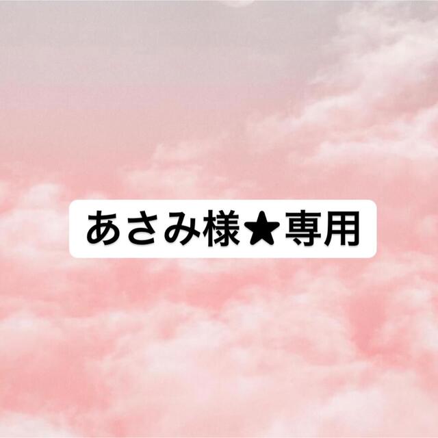 あさみ様☆専用 www.termasbryant.com