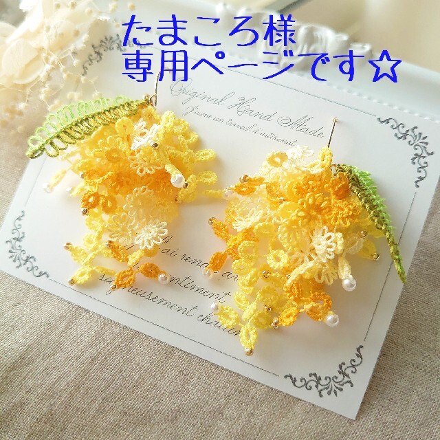 低価高品質】 たまころ様 専用ページ mIOiN-m78772836364 actualizate.ar