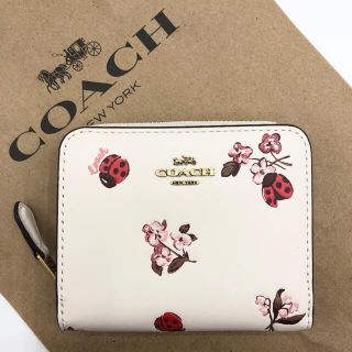 コーチ(COACH) パウダーの通販 58点 | コーチを買うならラクマ