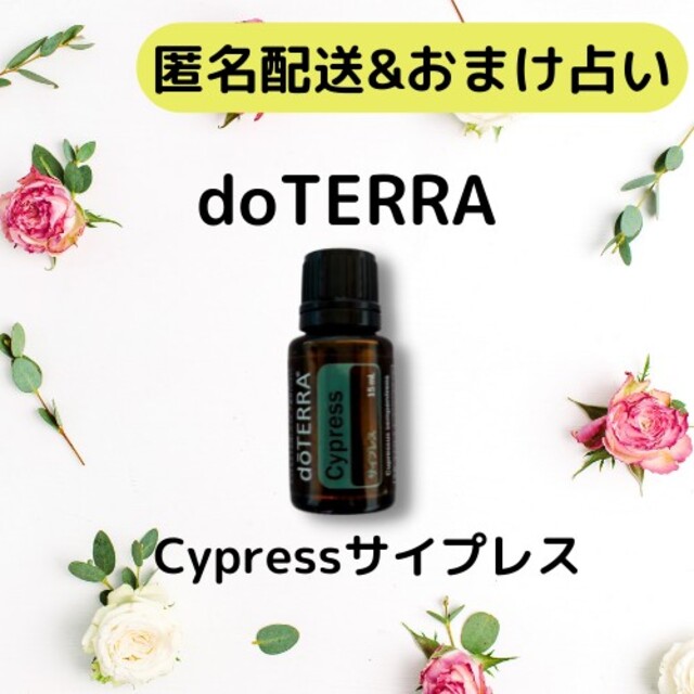 doTERRA(ドテラ)のdoTERRAドテラ　サイプレス　エッセンシャルオイルアロマオイル コスメ/美容のリラクゼーション(エッセンシャルオイル（精油）)の商品写真