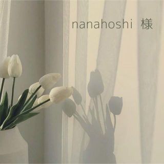 nanahoshi 様(各種パーツ)