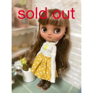 あなたにおすすめの商品 カスタムミディブライス✨クールプール