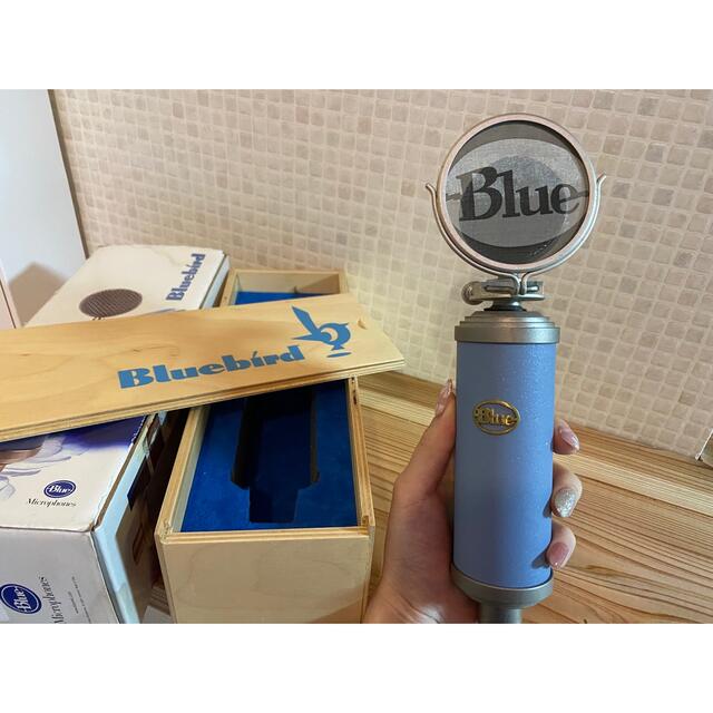 Blue Blue bird コンデンサーマイクセット