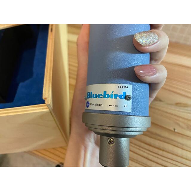 Blue Blue bird コンデンサーマイクセット 楽器のレコーディング/PA機器(マイク)の商品写真