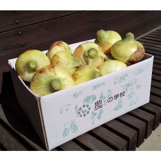 【有機JAS】新玉ねぎ約1.8㎏　~サイズ不揃い~（60サイズ）(野菜)