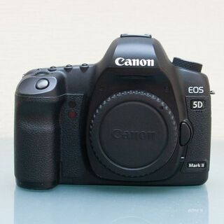 Canon - Canon EOS 5D Mark II シャッター数約47000回